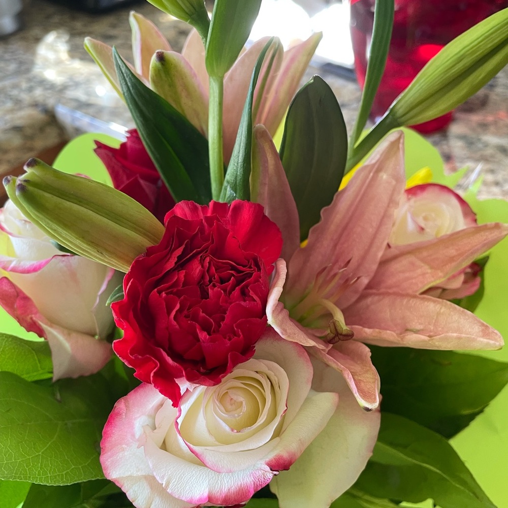 Meet your Posher, Aly